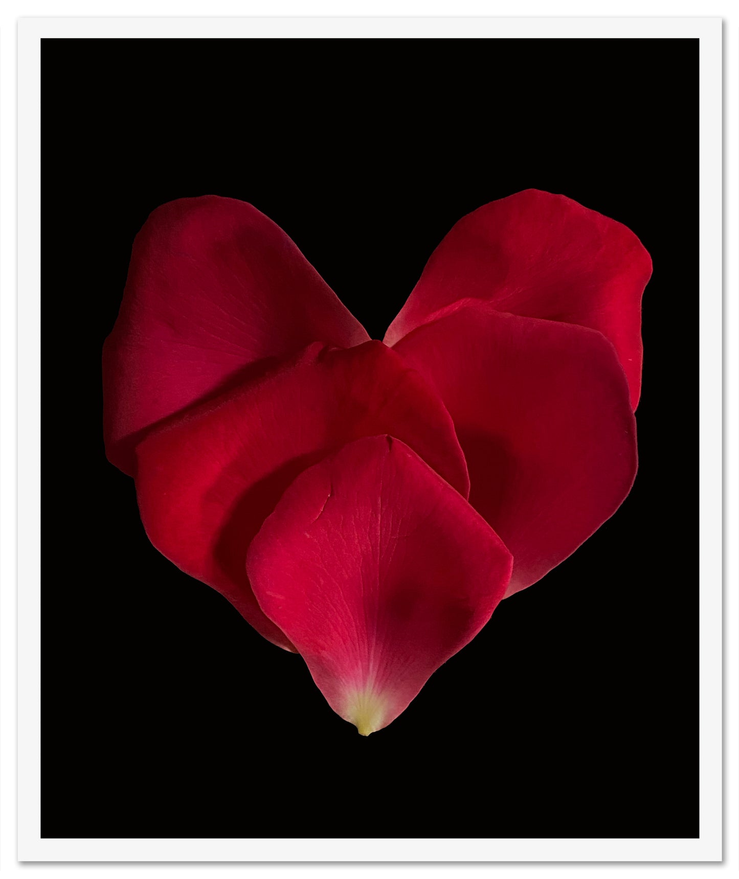 iFlowers 'Petal Heart'